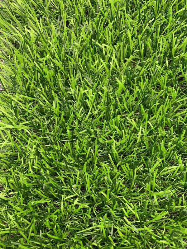 Artificial Grass p/m2 10mm pile height