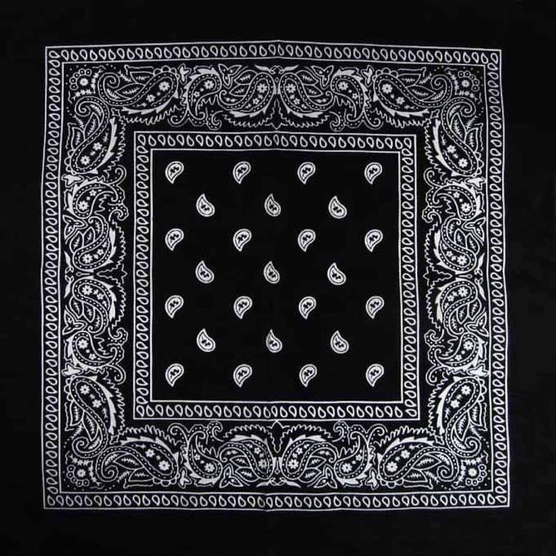 Paisley Print Bandana