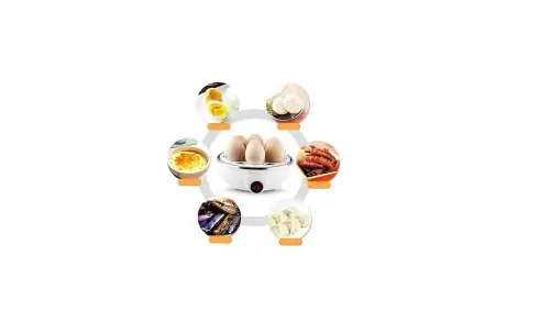Electric Egg Poacher
