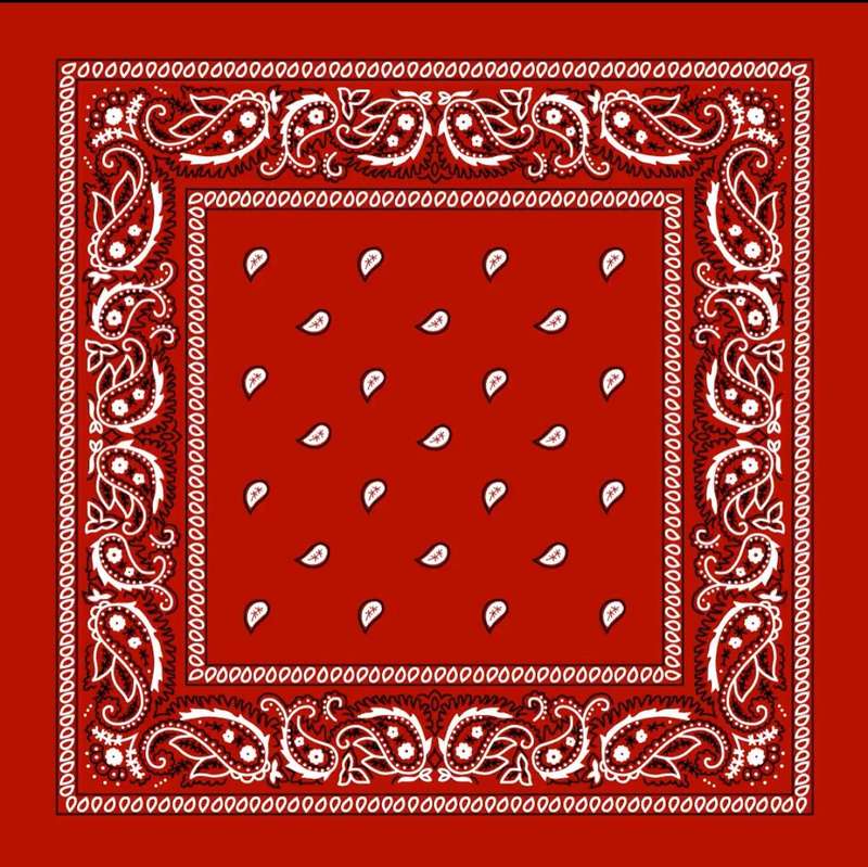 Paisley Print Bandana