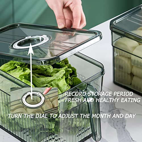 Refrigerator Orginiser Bins