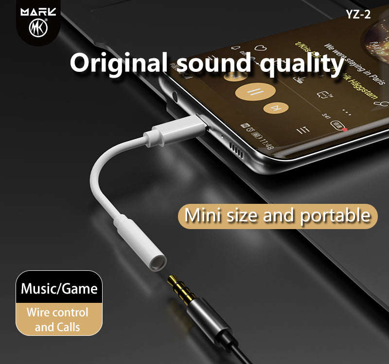 Audio Conversion Cable