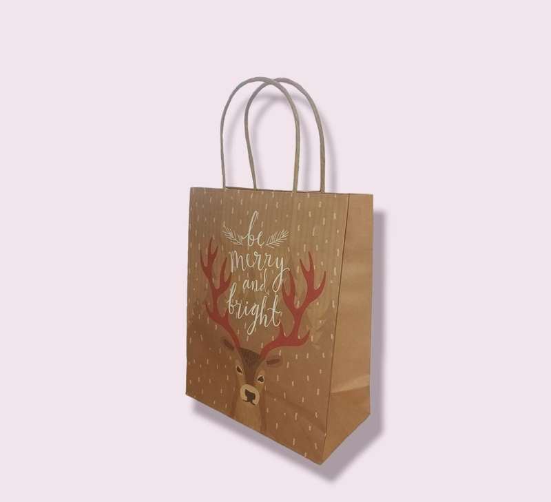 Merry And Bright Gift Bag