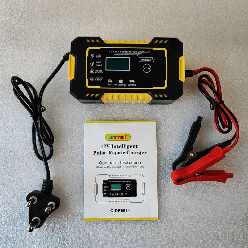 Andowl Repair 12V-24V Intelligent Pulse Charger DP672