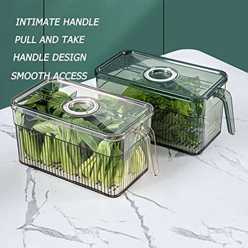 Refrigerator Orginiser Bins