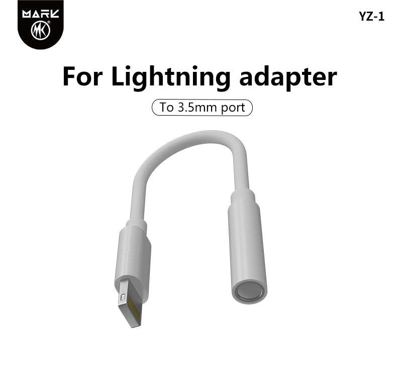 Audio Conversion Cable