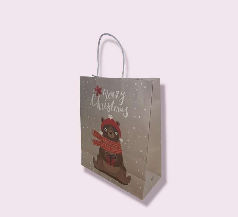 Merry Christmas Gift Bag