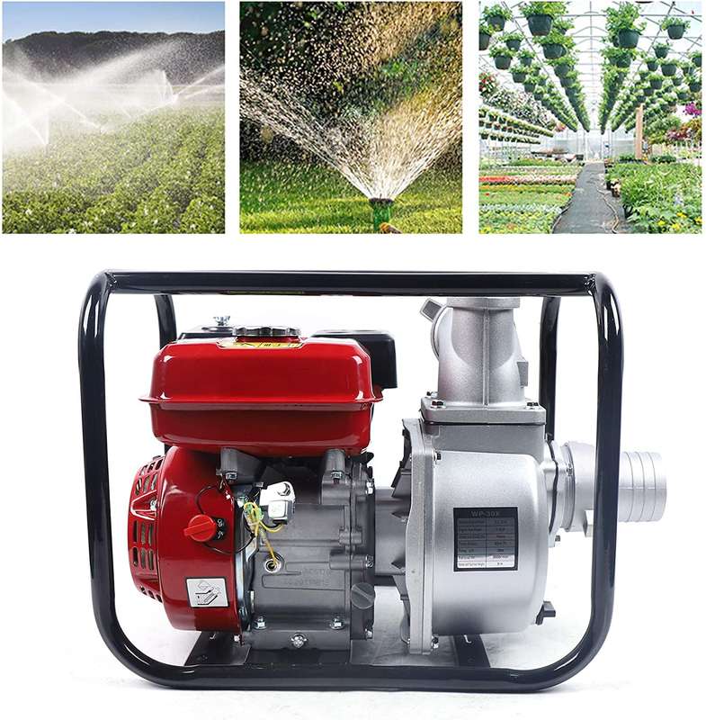 Gasoline Powered Water Pumps WP20/WP30