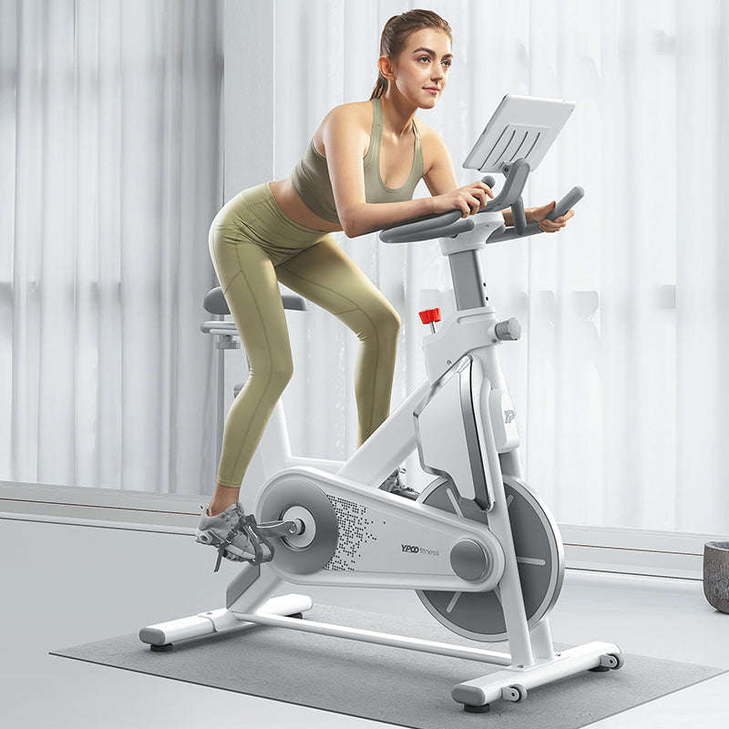 D3  Magnetic Resistance Indoor Spinning Bike