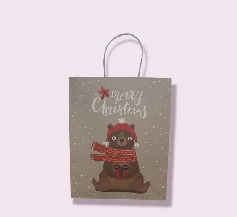 Merry Christmas Gift Bag