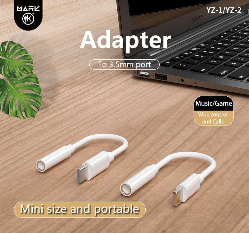Audio Conversion Cable