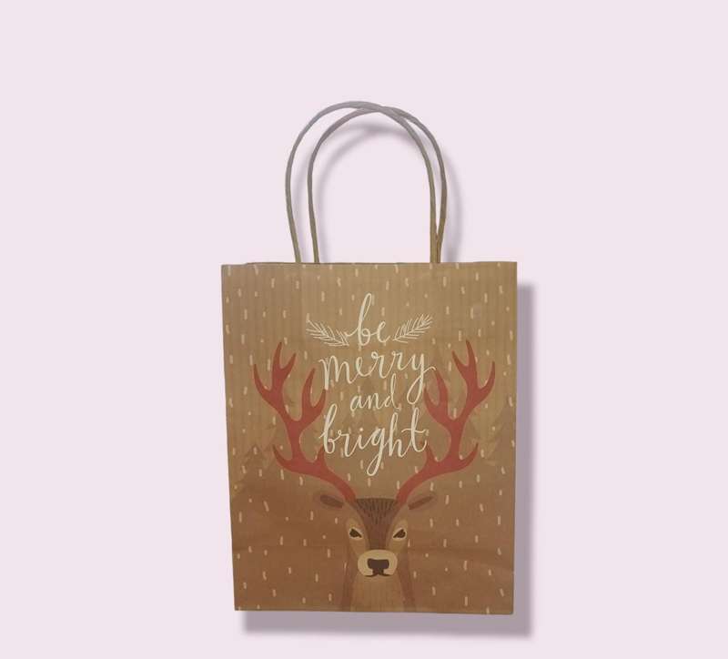 Merry And Bright Gift Bag