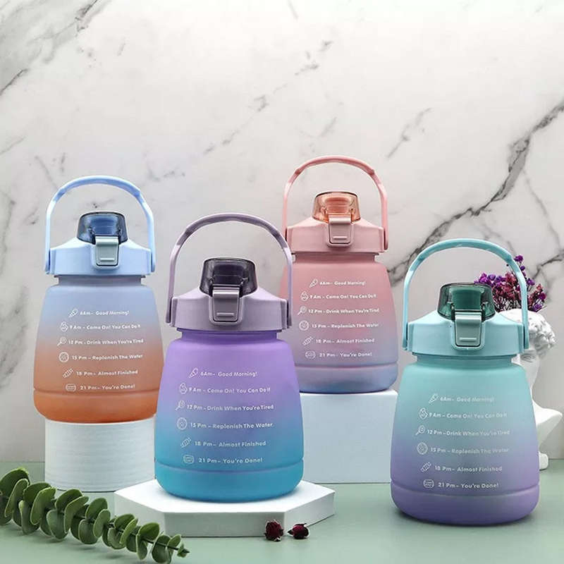 PASTEL DUAL COLOR Motivational Water Bottle with Time Marker & Straw BPA