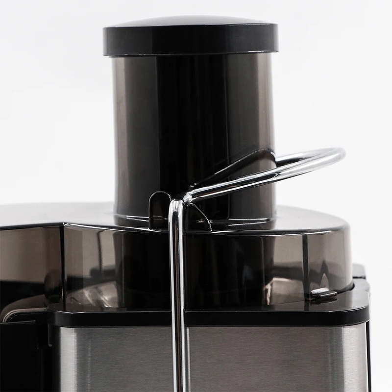 RAF R2817R Electric Juicer Food Grade Stainless Steel Big Feeding Mouth Portable Juice Extractor