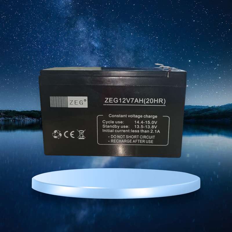 ZEG 12 Volt  Rechargeable Battery