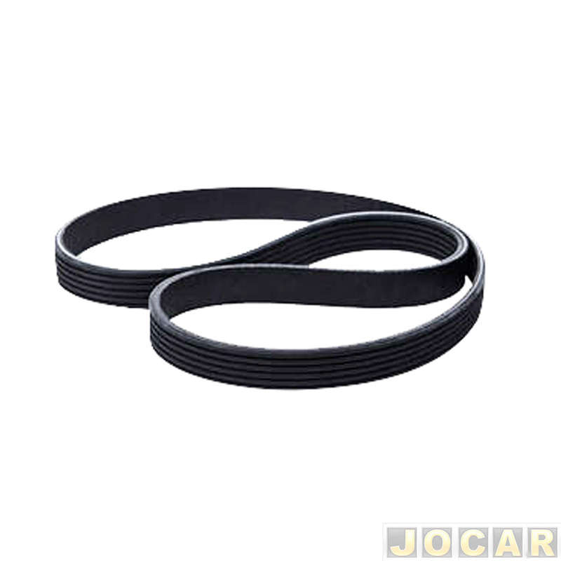 Polo Belt - 6PK1155