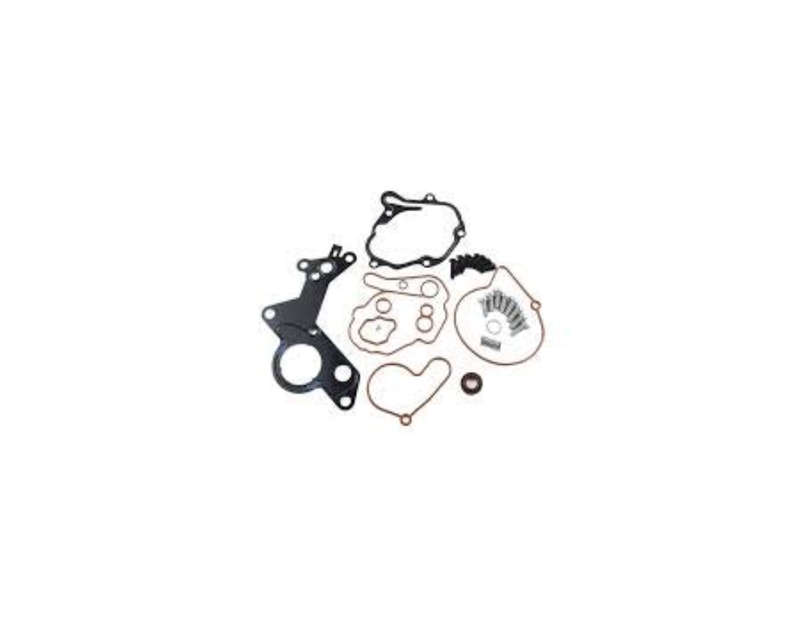 Polo / Golf 4/5 / 2.0TDI Vacuum Pump Repair Kit