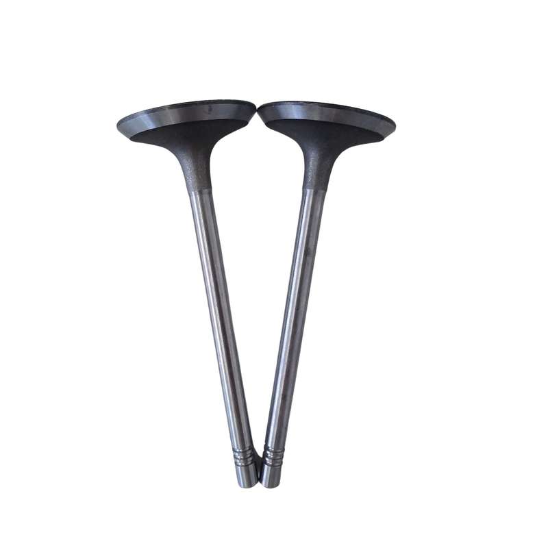 Polo 2 9N Engine Valve (BLM Engine)