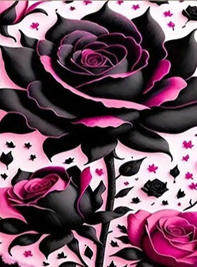 Black and pink rose