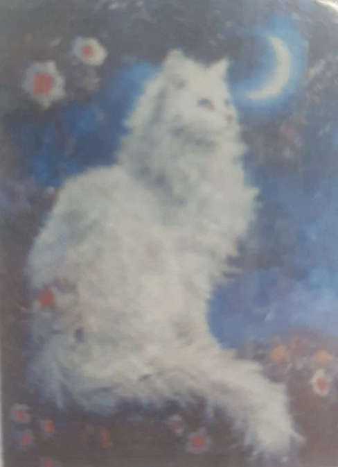 PAINT BY NUMBERS - White Cat