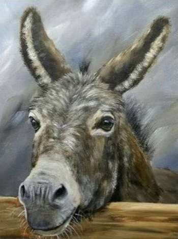 Donkey