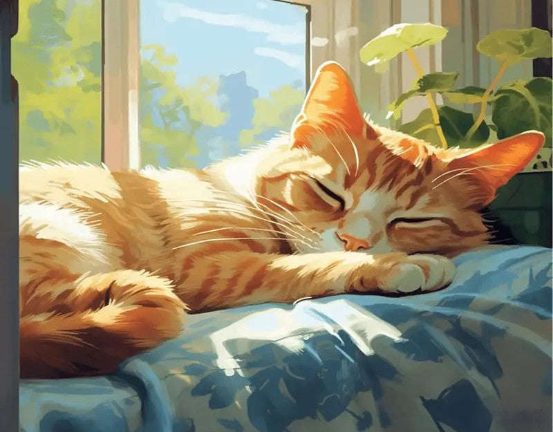 PAINT BY NUMBERS - Ginger cat sleeping