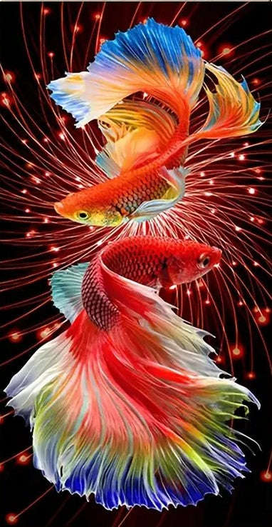 Dancing fish 30x60cm