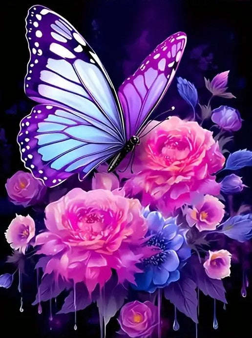 Purple and pink butterfly on flower