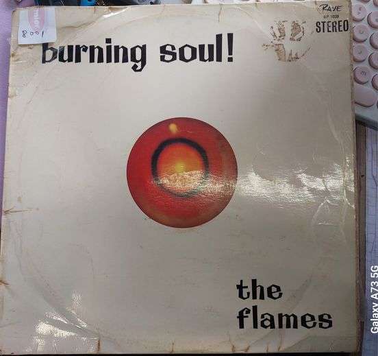 The Flames - Burning Souls (G/G) - Vinyl