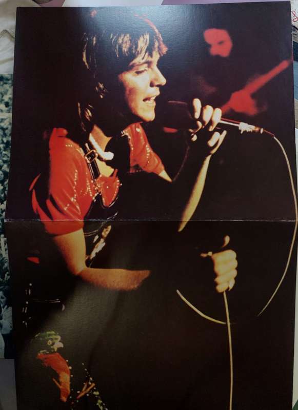 David Cassidy - Cassidy Live - vinyl