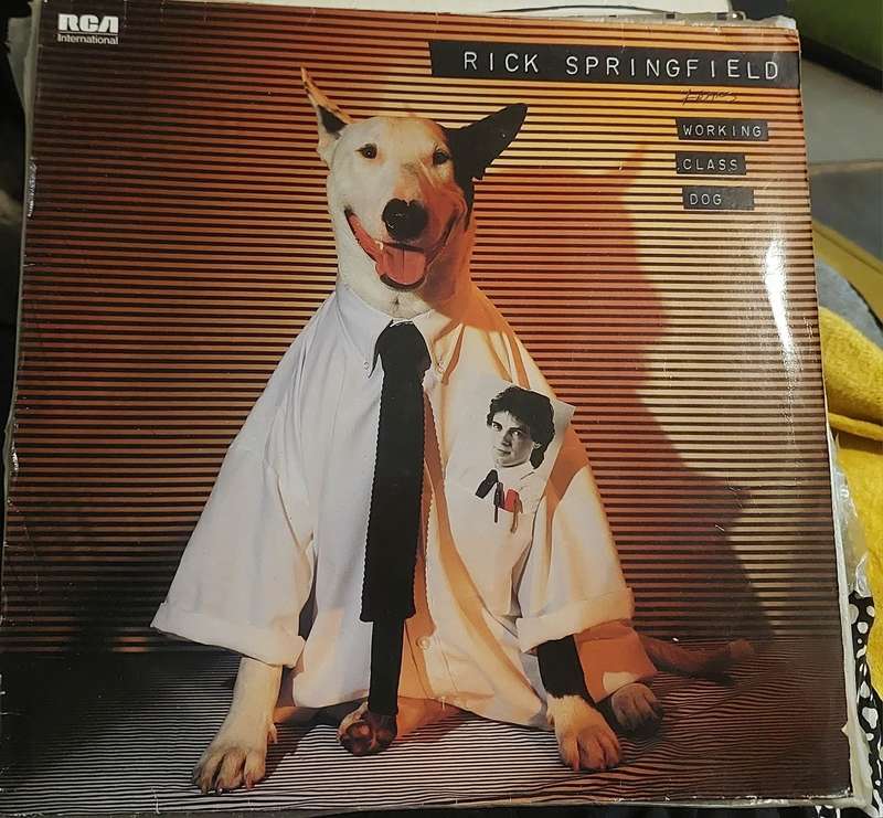 Rick Springfield - Working Class Dog