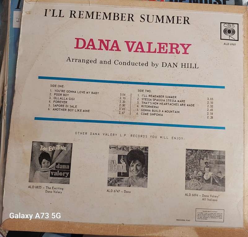 Dana Valery - I'll remember summer (VG/VG)