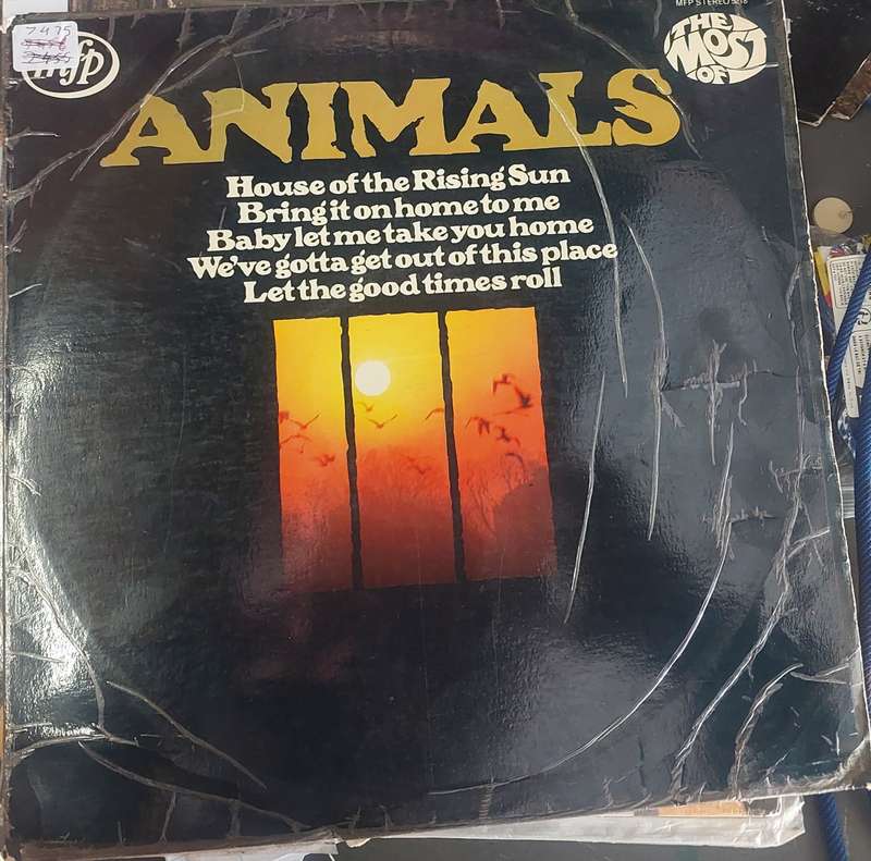 Animals (G/VG)
