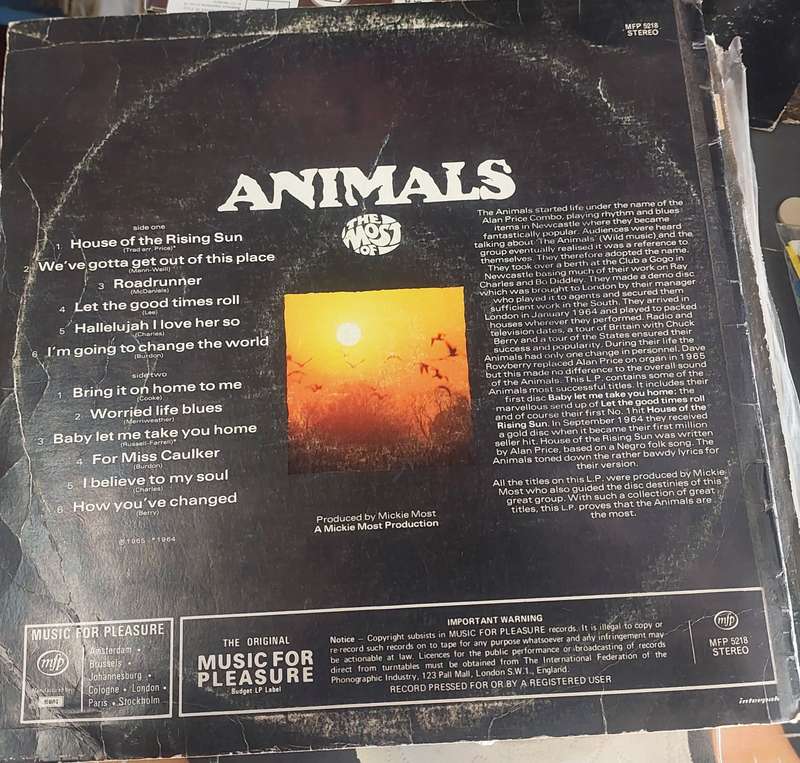 Animals (G/VG)