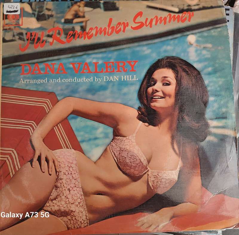 Dana Valery - I'll remember summer (VG/VG)
