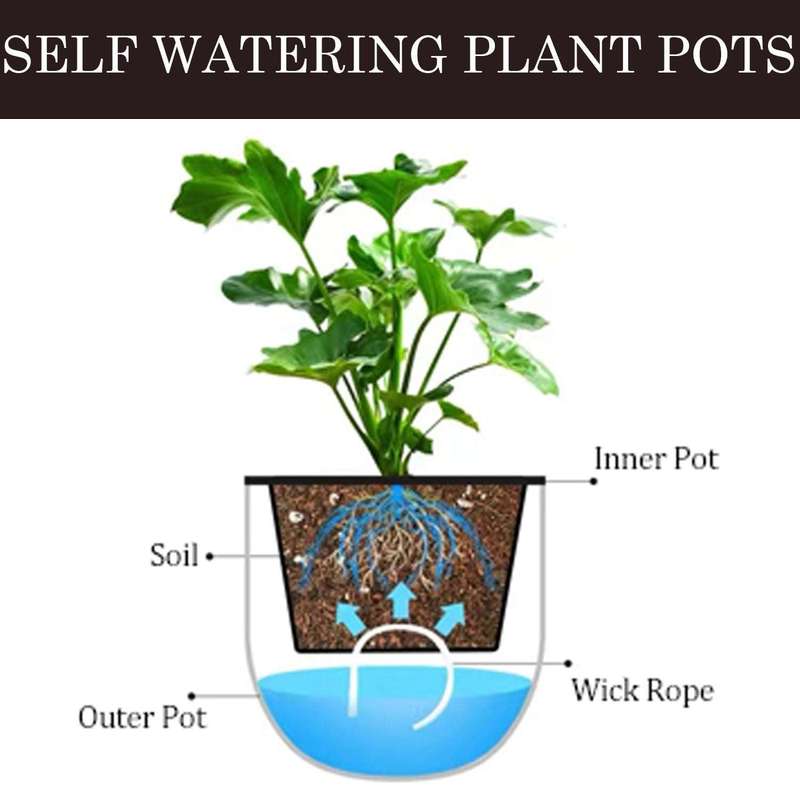 2 Pack Hanging Planters Flower Pots Indoor Outdoor- Clear Self Watering