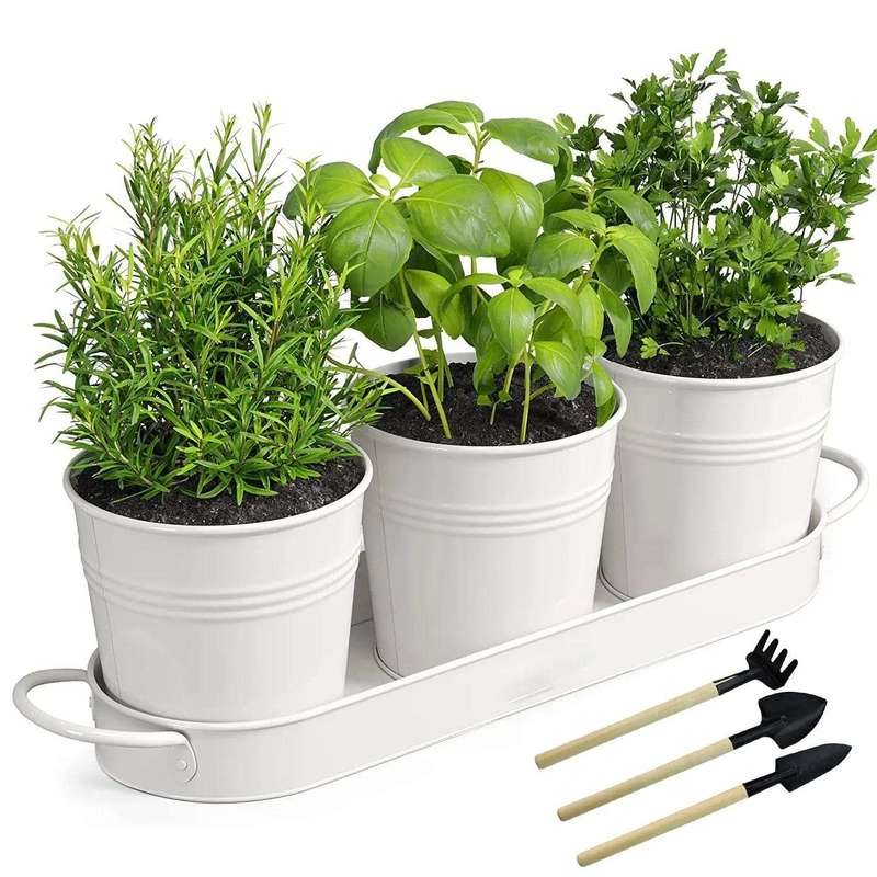 Kitchen Window Herb Garden Planter Pots With Tray- White
