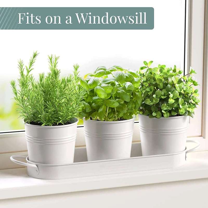 Kitchen Window Herb Garden Planter Pots With Tray- White