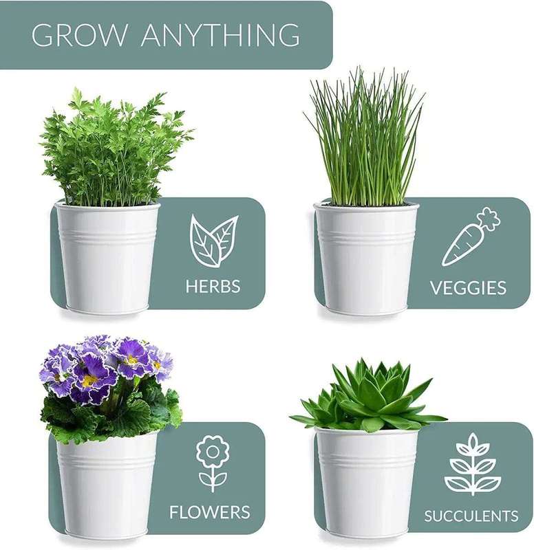 Kitchen Window Herb Garden Planter Pots With Tray- White