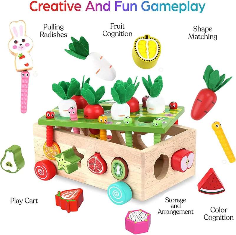 Toddler Wooden Shape Sorting Educational Toys