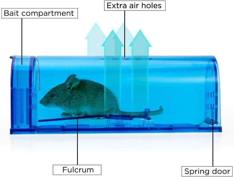 4 Pack Small Humane No Kill Mouse Traps - Blue