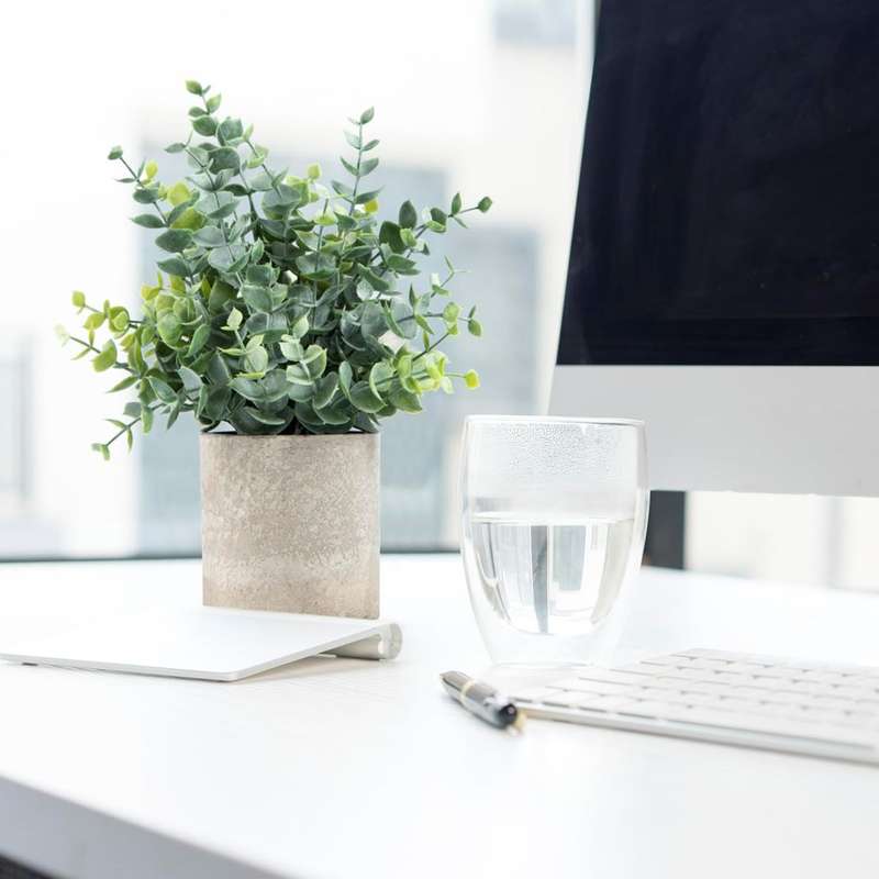 2 Pack Mini Fake Artificial Plants Eucalyptus Potted For Home Office Decor-