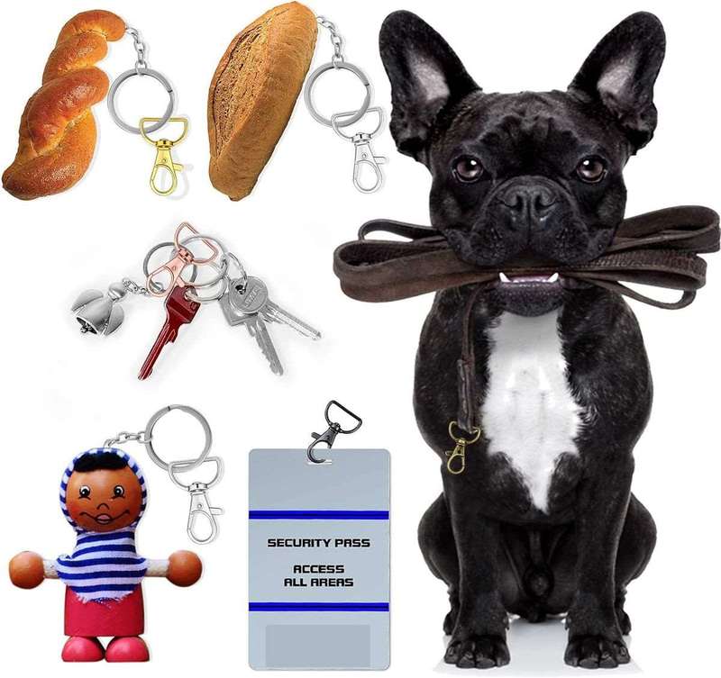57 Piece Keychain With Swivel Hook D Rings & Side Buckles For Handbag