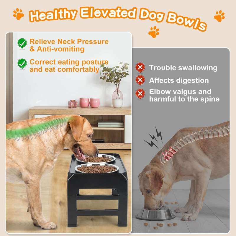 Raised Elevated Dog Bowls Stand With 2 Steel Pet Bowls & Adjustable Height
