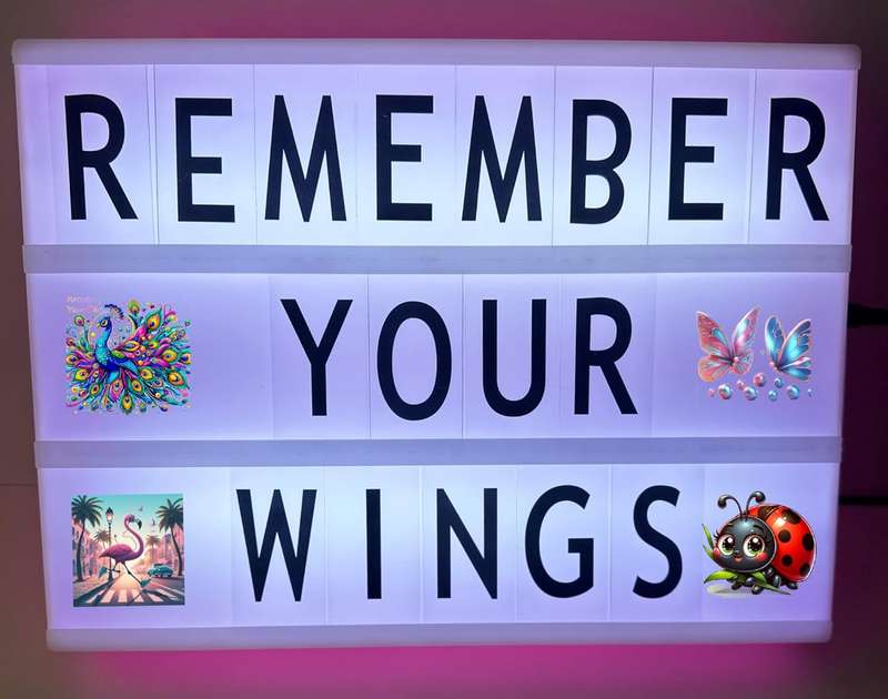 Pink Cinema LED Light Box Home Office Decor With Letters ,Emojis & Markers