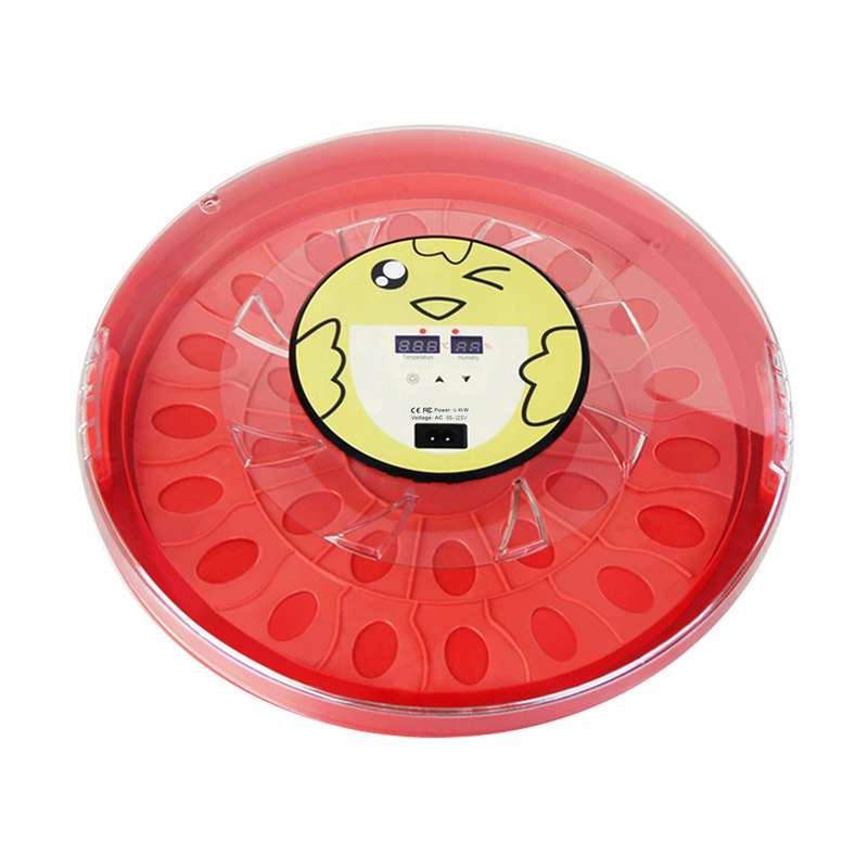 Digital Egg Incubator 30 Eggs Auto Temperature Control Auto Egg Turning Transparent Lid for O