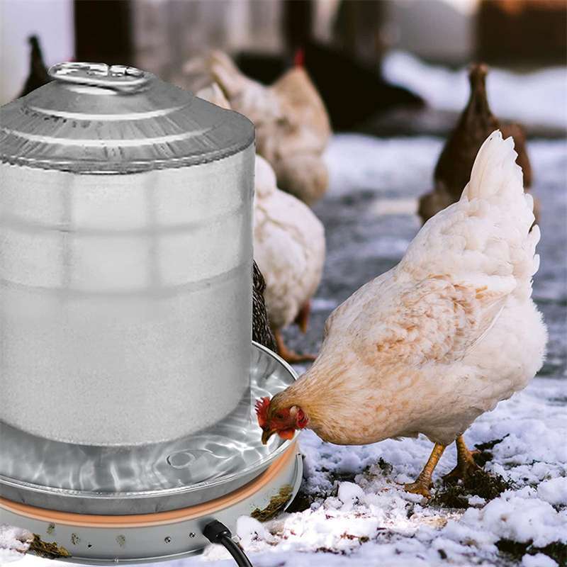 Chicken Water Heater Base 15 Watt Winter De-Icer Chicken Water Heating Base 14.6 Inch for Met
