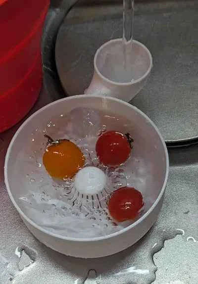 Automatic Vegetable Washer Bowl