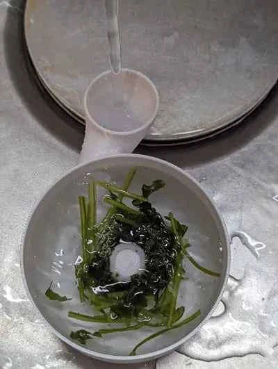 Automatic Vegetable Washer Bowl