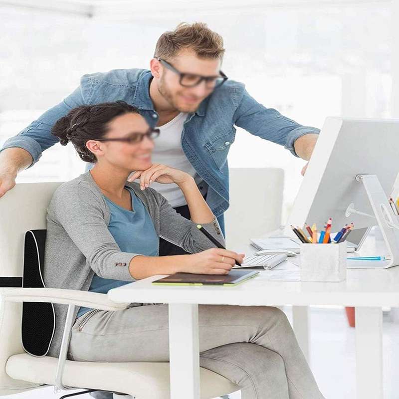 ErgoComfort Lumbar Support Pillow